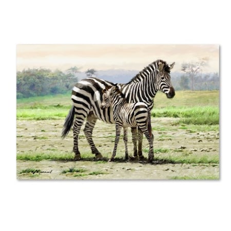 Trademark Fine Art The Macneil Studio 'Zebra' Canvas Art, 16x24 ALI8955-C1624GG